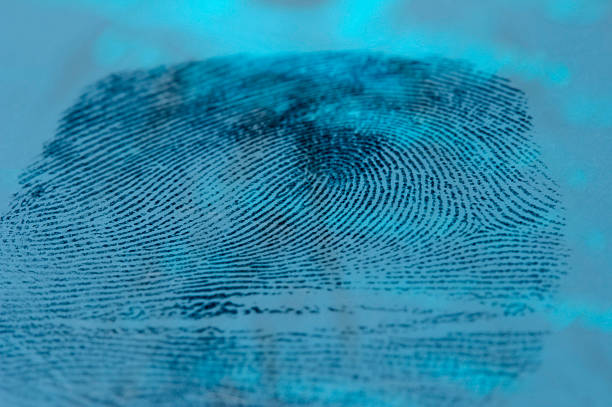 Fingerprint Fingerprint blue fingerprint photos stock pictures, royalty-free photos & images