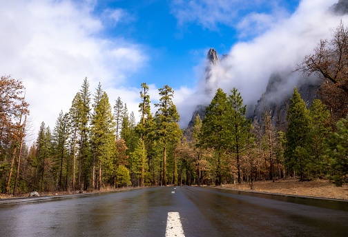 A scenic view of a winding road through Yosemite National Park, with lush greenery and dramatic mountains