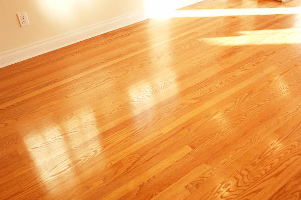istock Beautiful New Sunlight Hardwood Floor 157188342