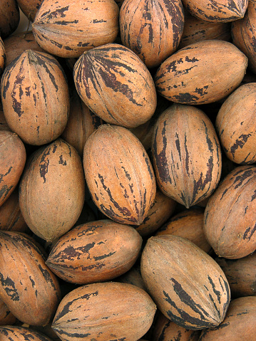 Background of pecan nuts