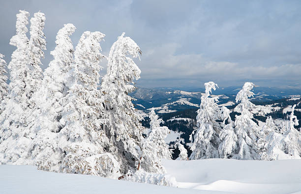 istock Carpathians. Mountains cowered with snow 157188380