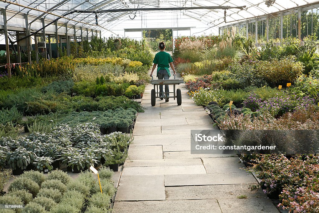 Serra con tutto. Operaio primo piano - Foto stock royalty-free di Centro per il giardinaggio