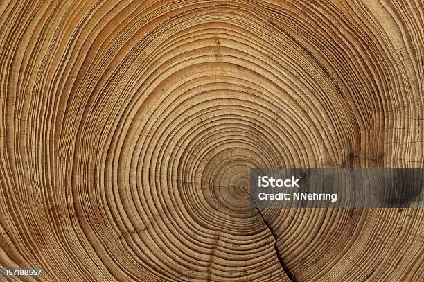 Baum Ringe Stockfoto und mehr Bilder von Holz - Holz, Baum, Texturiert