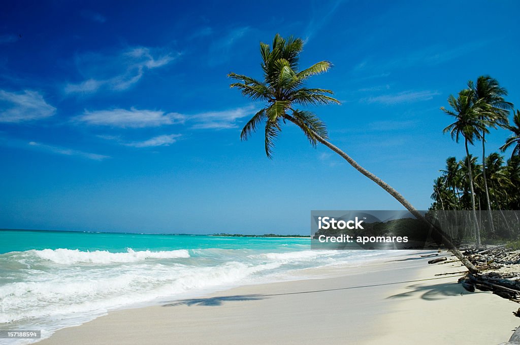 Tropikalny biały piasek Plaża Dziewicze - Zbiór zdjęć royalty-free (Bahamy)