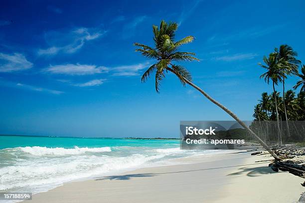 Foto de Tropical Virgem Praia De Areia Branca e mais fotos de stock de Bahamas - Bahamas, Praia, Areia