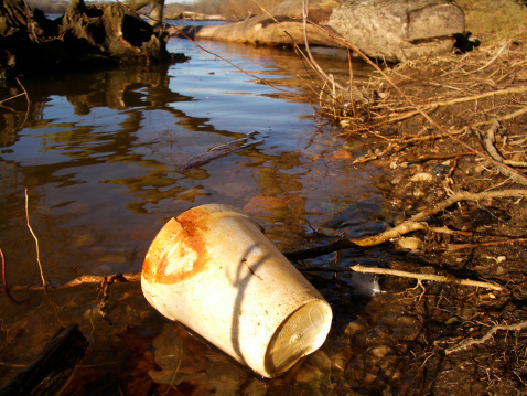 An abandoned Styrofoam cup floats along the edge of a river, turning a picturesque afternoon into a reminder of what happens - or rather what doesn't happen - to litter carelessly thrown on the ground. Fading sunlight casts shadows over the river's surface and highlights the decay of the forgotten cup.