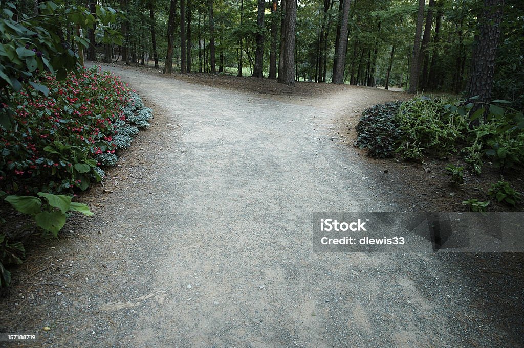 Fork in the Road - Lizenzfrei Weggabelung Stock-Foto