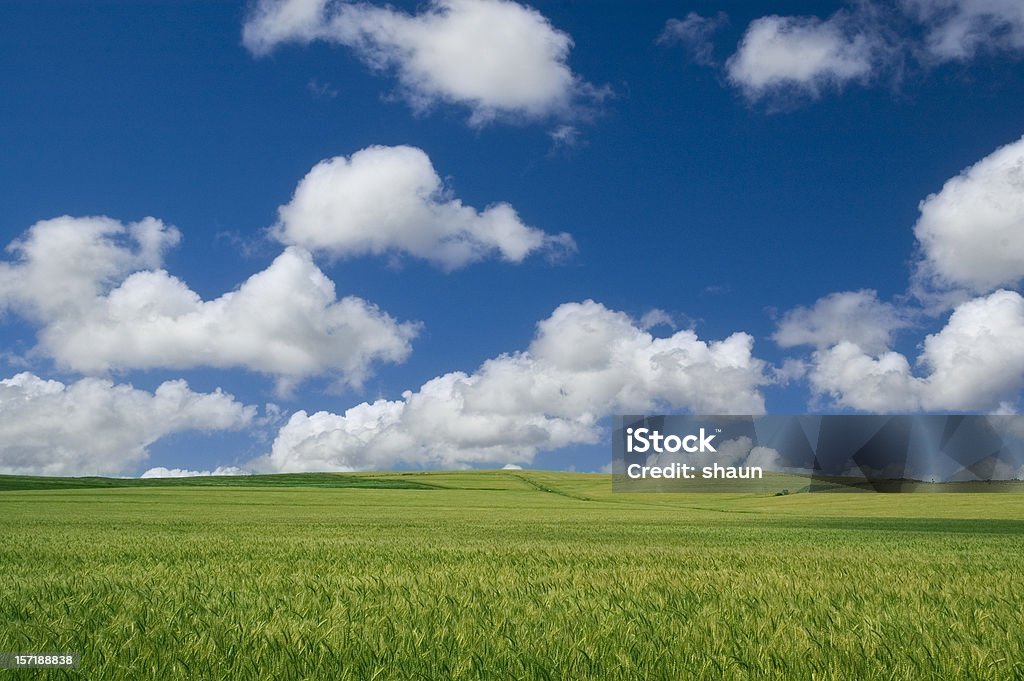 Belas fazendas - Foto de stock de Agricultura royalty-free