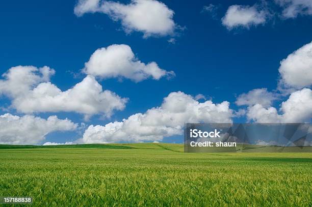 Foto de Belas Fazendas e mais fotos de stock de Agricultura - Agricultura, Azul, Beleza natural - Natureza