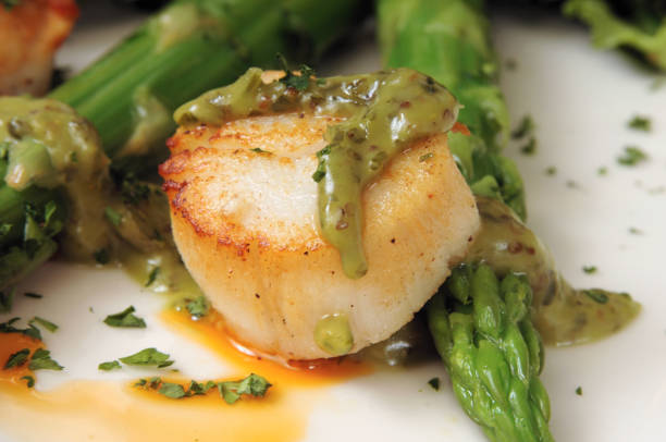 istock Sea scallop with green asparagus sauce 157188858