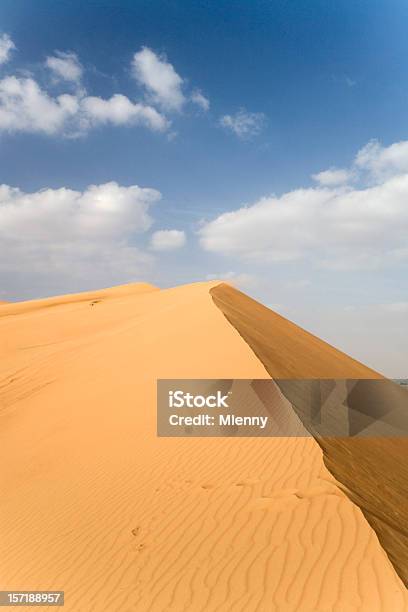 Paisagem Do Deserto Duna - Fotografias de stock e mais imagens de Abandonado - Abandonado, Ajardinado, Ao Ar Livre