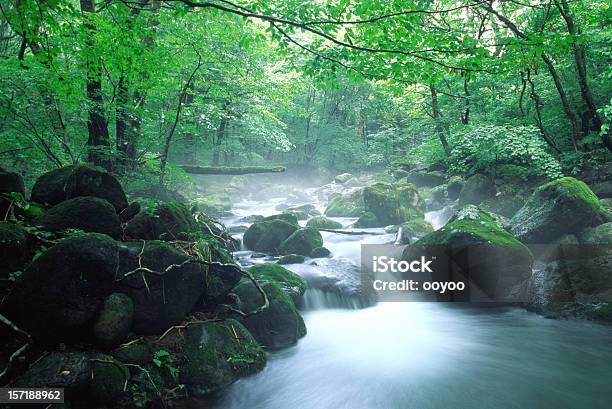 Mountain Stream Stockfoto und mehr Bilder von Bach - Bach, Baum, Bewegungsunschärfe