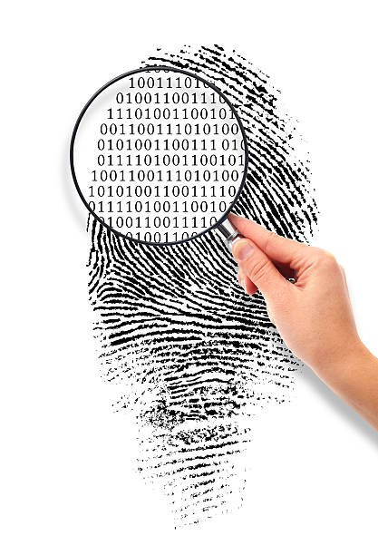 увеличено до двоичный код - fingerprint security system technology forensic science стоковые фото и изображения
