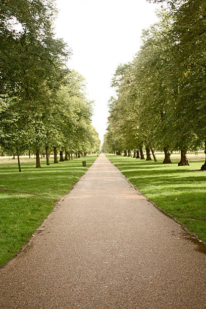 Pfad im Hyde Park, London – Foto