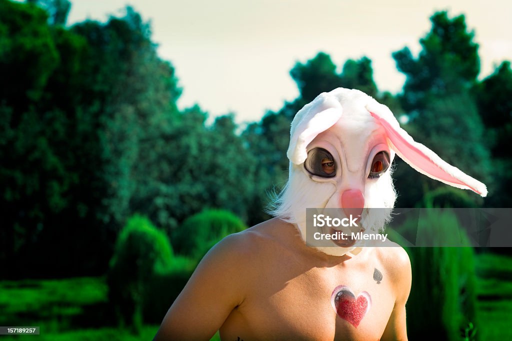 chase o coelho branco - Royalty-free Fantasia de Coelho Foto de stock