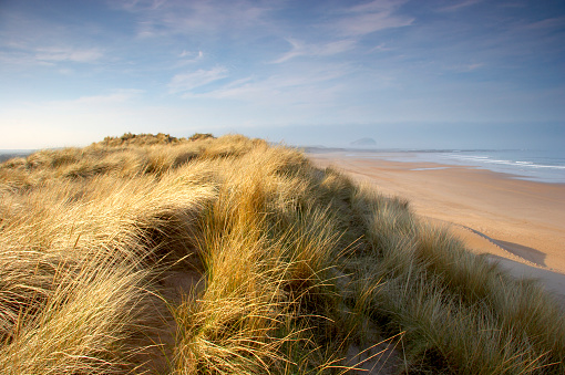 The pattern created by the wind in the sand of a dune at the North Sea