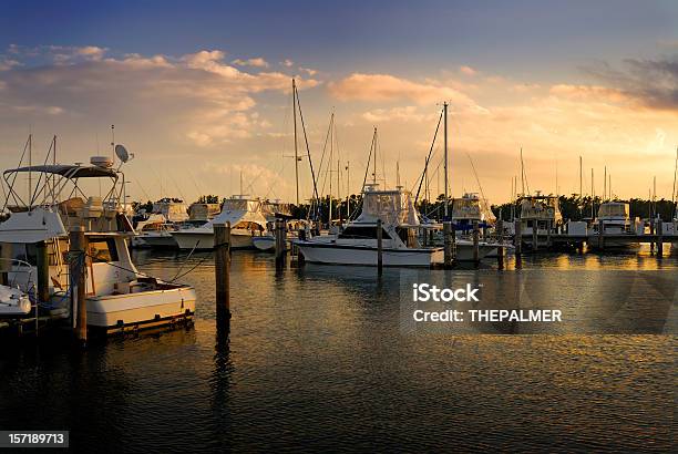 Photo libre de droit de Marina De Coconut Grove banque d'images et plus d'images libres de droit de Baie - Eau - Baie - Eau, Coucher de soleil, Crépuscule