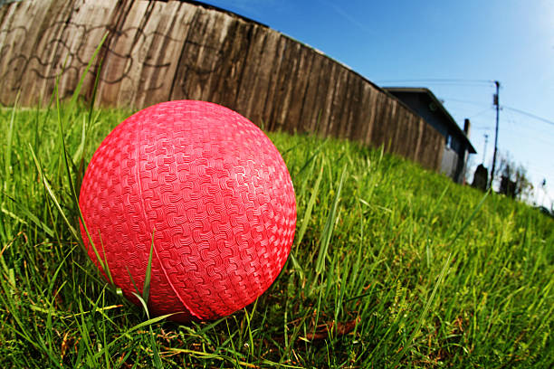 Wide Angle Dodge Ball on Grass stock photo