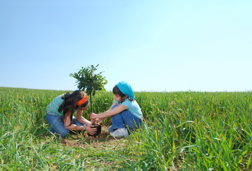 Two young girls planting a tree.