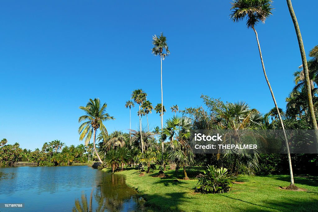 Il paradiso in terra - Foto stock royalty-free di Miami