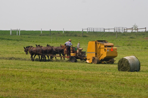 Amish farmer in Lancaster county, Pennsylvania