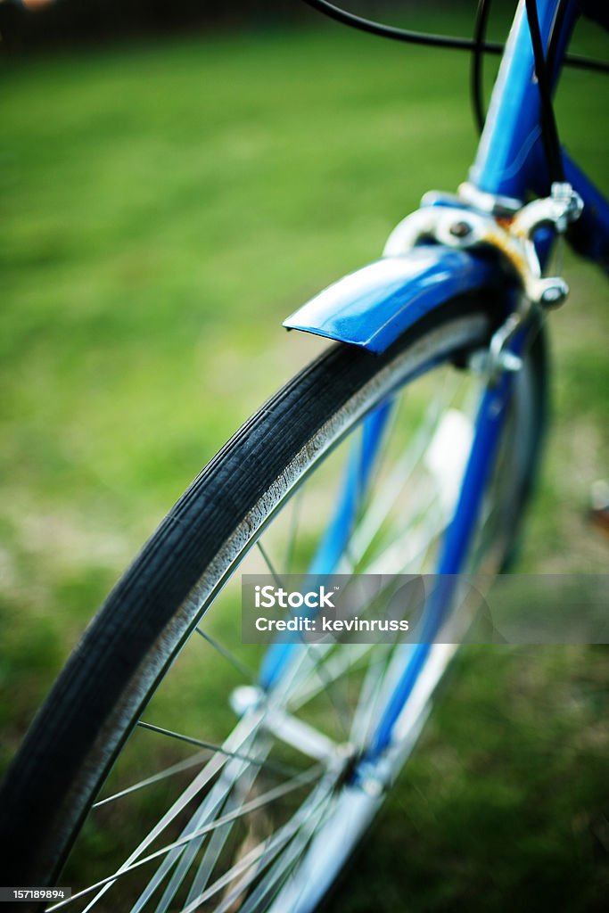 Azul vibrante Bicicleta contra uma fantástica de relva verde - Royalty-free Azul Foto de stock