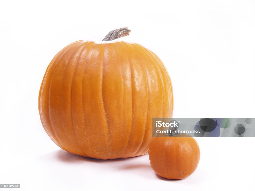 Grandes y pequeñas Pumpkins - Foto de stock de Calabaza gigante libre de derechos