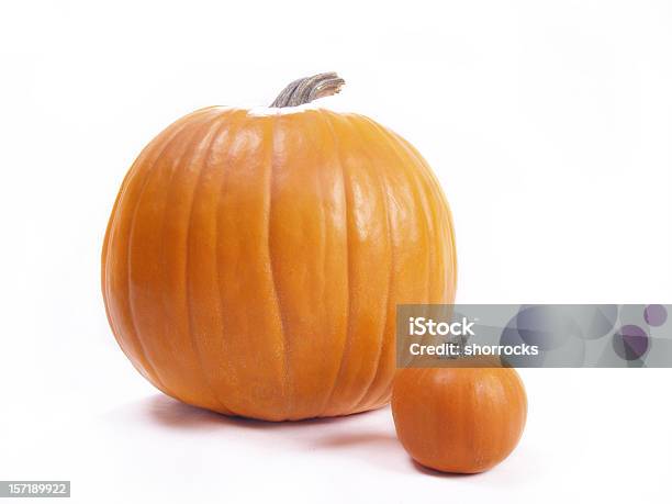 크고 작은 Pumpkins 두 물체에 대한 스톡 사진 및 기타 이미지 - 두 물체, 작은, 호박-조롱박과 식물