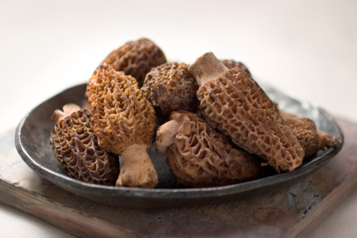 Top view of fresh and dry shiitake mushroom in set is isolated  on white background with clipping path.