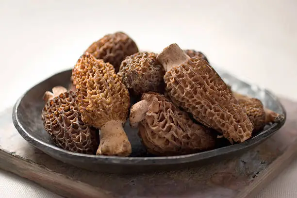 Earthy wonderful morelle mushrooms.  Shallow dof.