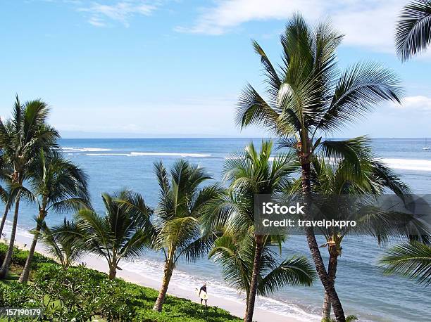 Foto de Passeando Surfista Na Praia Revestidas De Palmeiras Havaiano e mais fotos de stock de Areia