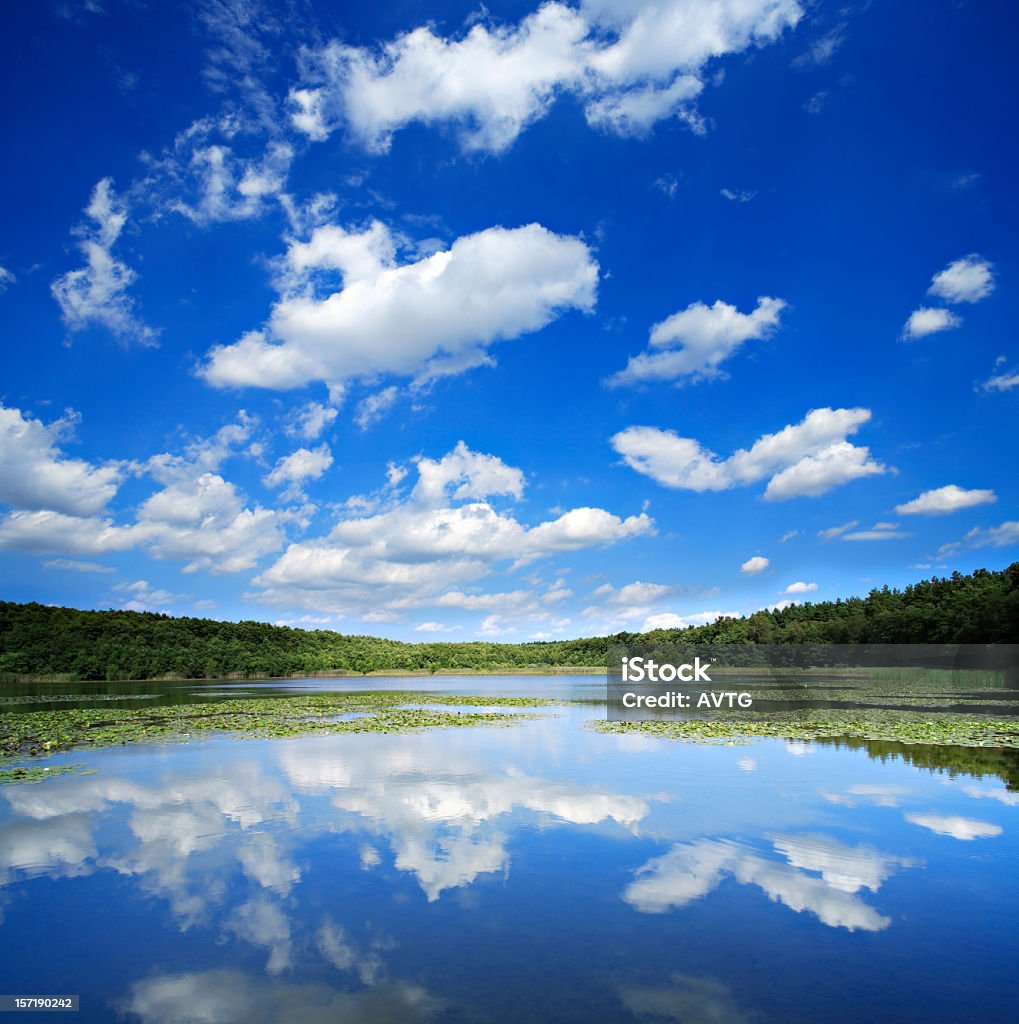 Cumulus Clouds over Small Lake amongst the Woods in Summer Backgrounds Stock Photo