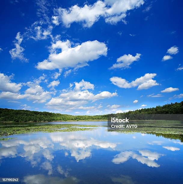 Nuvens Cumulus Mais Pequeno Lago Entre A Floresta No Verão - Fotografias de stock e mais imagens de Ao Ar Livre