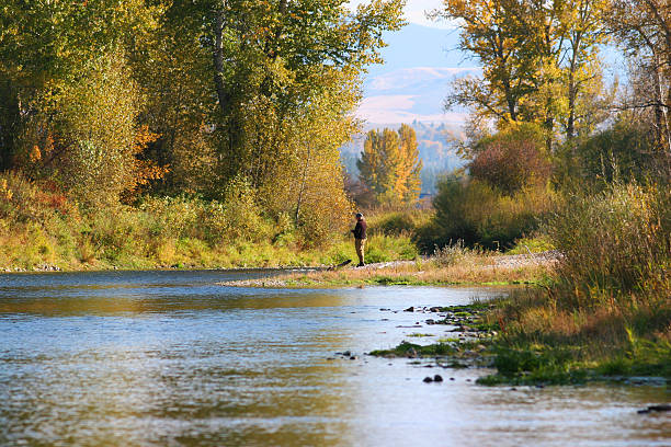 istock Fly fishing on the Bitterroot River in Montana 157190348