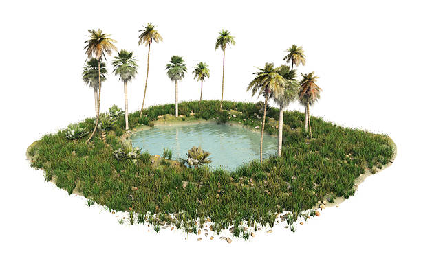 oasis isolated oasis land of lakes stock pictures, royalty-free photos & images