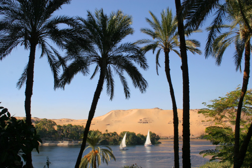 Feluccas on the Nile at Aswan, Egypt.