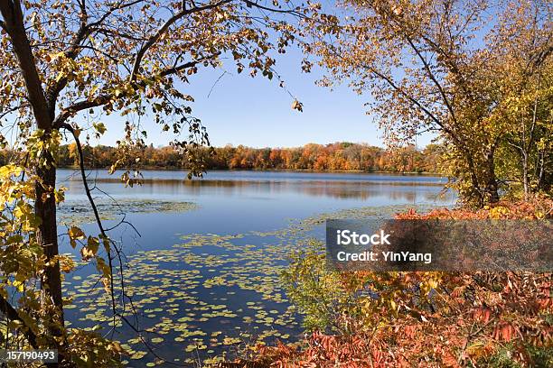 Photo libre de droit de Minnesota Lake Paysage Paysage Dautomne Avec Les Arbres Et La Forêt banque d'images et plus d'images libres de droit de Arbre