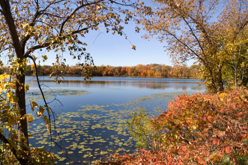 Subject: Autumn color around a quiet lake
