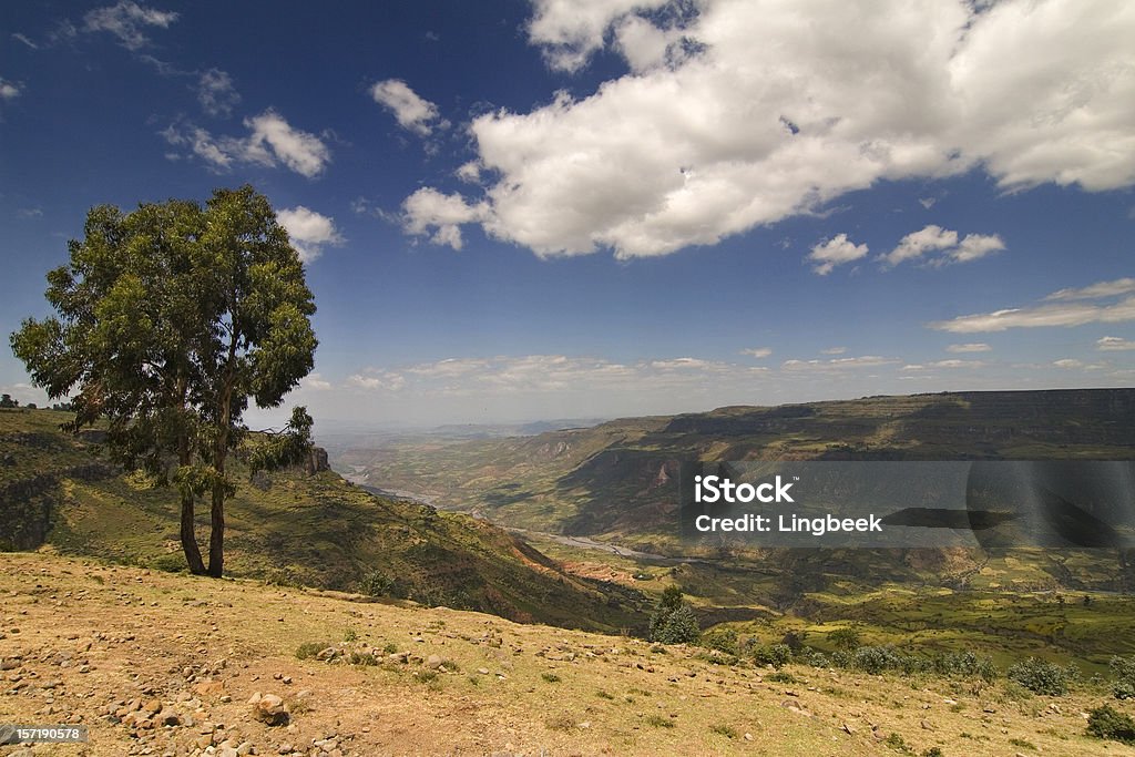 Etíope Paisagem de Canyon de Debre Libanos - Royalty-free Agricultura Foto de stock