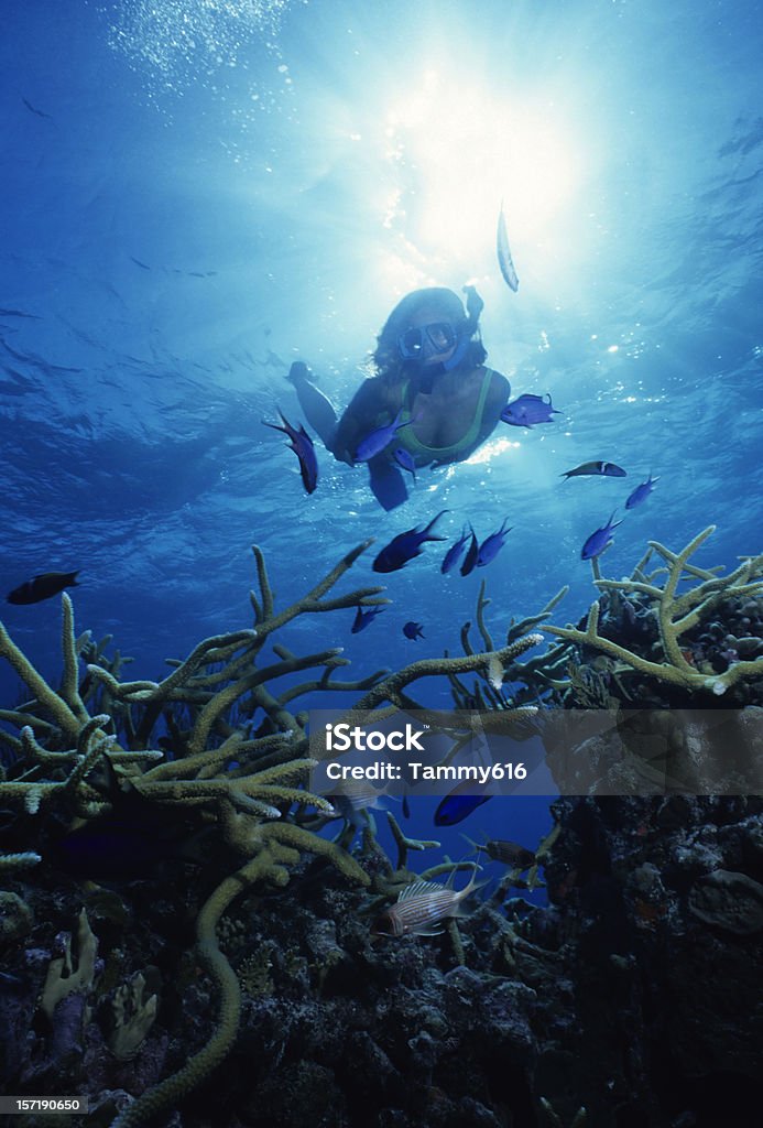 Exploring The Deep Beautiful girl exploring coral reef. Caribbean Bahamas Stock Photo