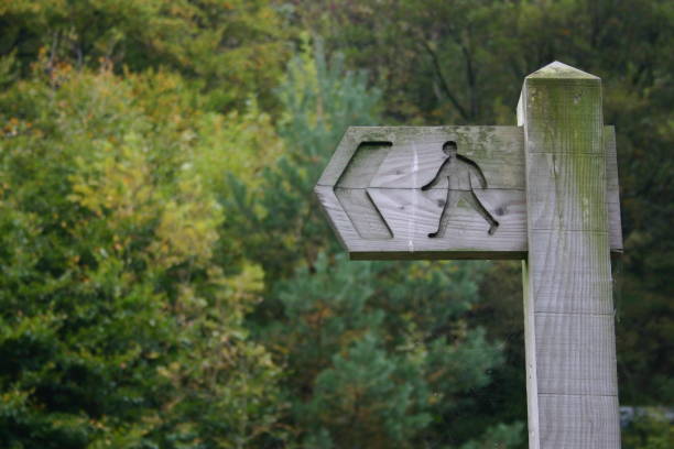 istock wooden sign post in a forest showing the direction 157190815