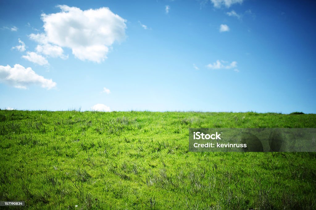 水平緑豊かな芝生と夏の雲と青い空。 - Horizonのロイヤリティフリーストックフォト