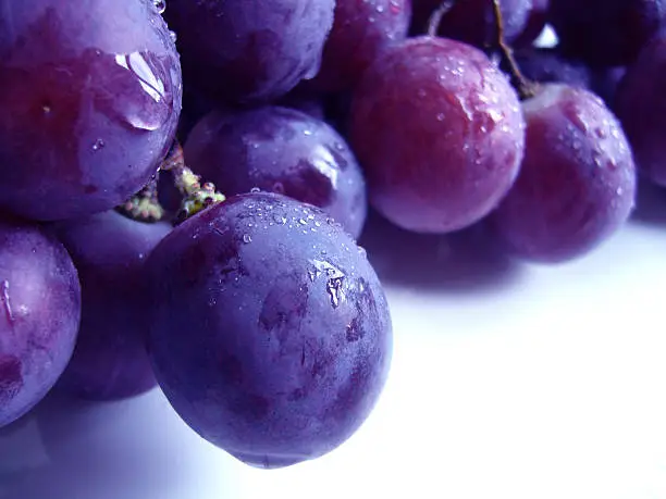 wet grapes in close-up 
