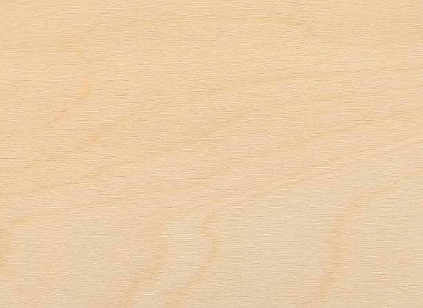 close-up auf eine gemeinsame beleuchteten wandverkleidungen sperrholz bord - wood birch wood grain textured stock-fotos und bilder