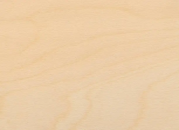 This is a shot of a birch plywood board.