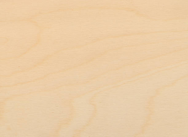 close-up vista de um uniformemente iluminado birch de madeira compensada - wood grain plywood wood textured - fotografias e filmes do acervo