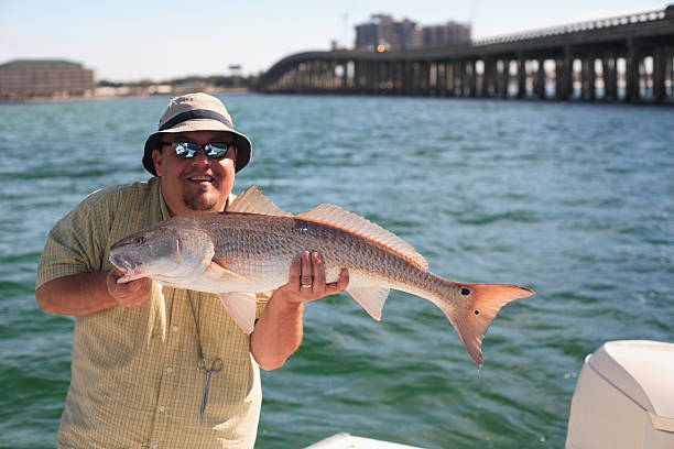 http:///istock/links/button_fishing.jpg