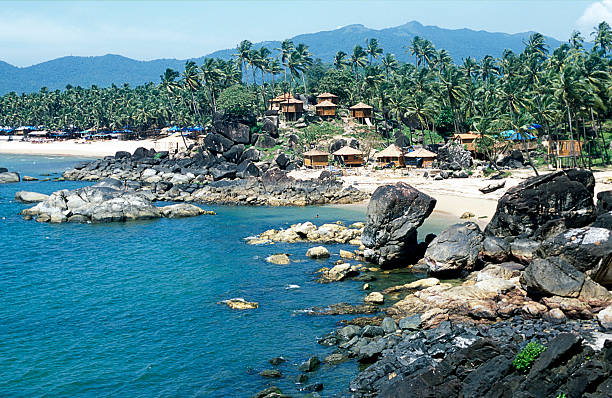 istock Tropical bay, Palolem beach, bamboo huts, palm trees, Goa, India 157191009