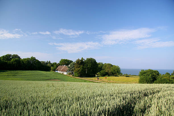 Beautiful farmland, old house and sea in Southern Jutland, Denmark stock photo