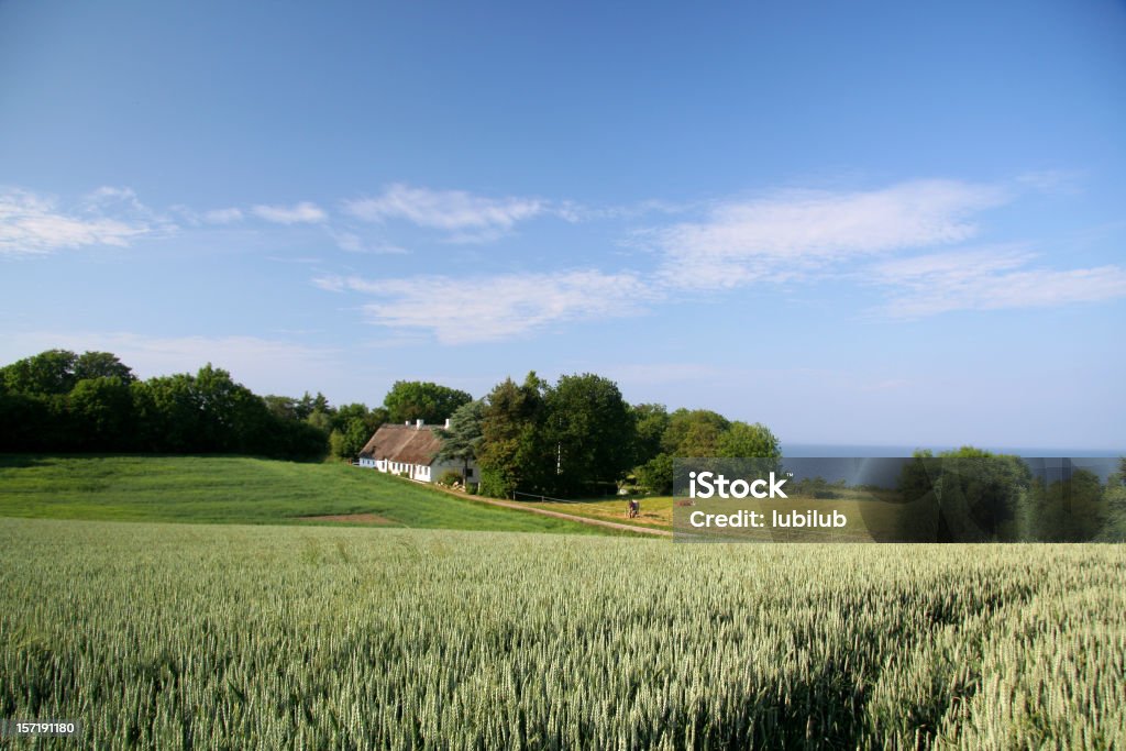 Belas fazendas, antiga casa e o mar, no sul da Jutland, Dinamarca - Foto de stock de Dinamarca royalty-free